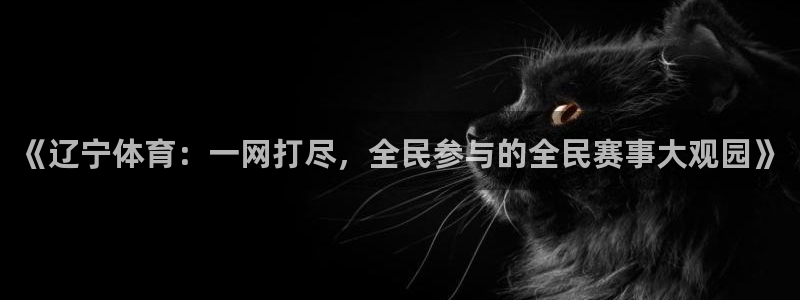 《辽宁体育：一网打尽，全民参与的全民赛事大观园》