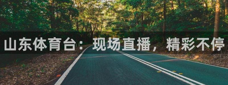 山东体育台：现场直播，精彩不停