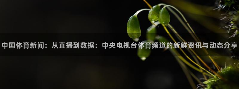 中国体育新闻：从直播到数据：中央电视台体育频道的新鲜资讯与动态分享