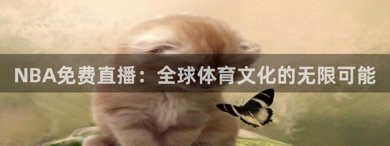 NBA免费直播：全球体育文化的无限可能