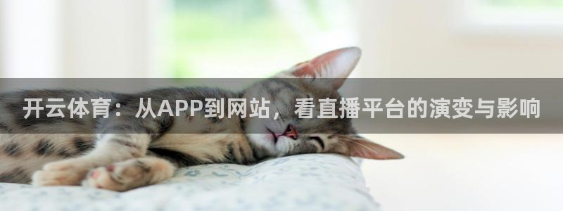 开云体育：从APP到网站，看直播平台的演变与影响
