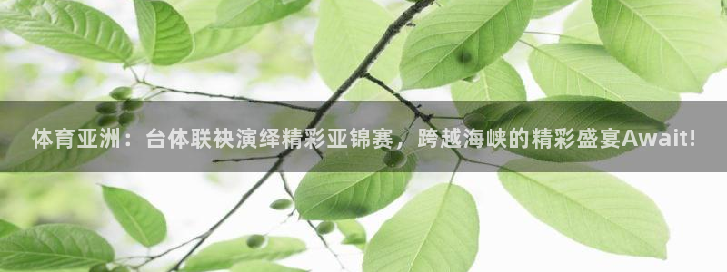 体育亚洲：台体联袂演绎精彩亚锦赛，跨越海峡的精彩盛宴Await!