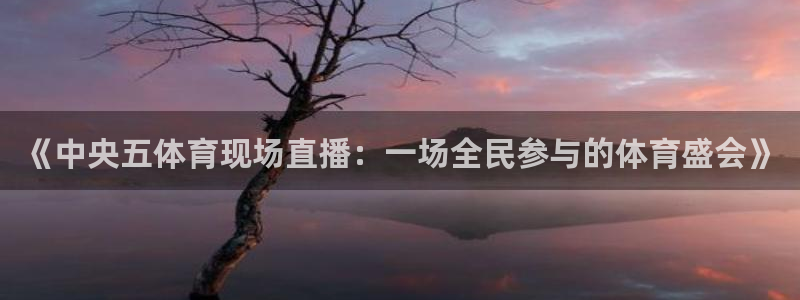 《中央五体育现场直播：一场全民参与的体育盛会》