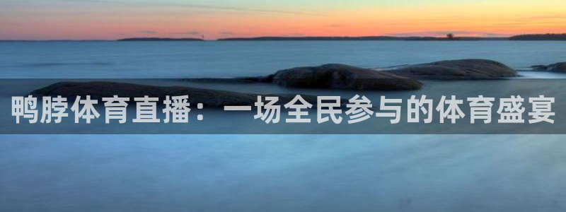 鸭脖体育直播：一场全民参与的体育盛宴