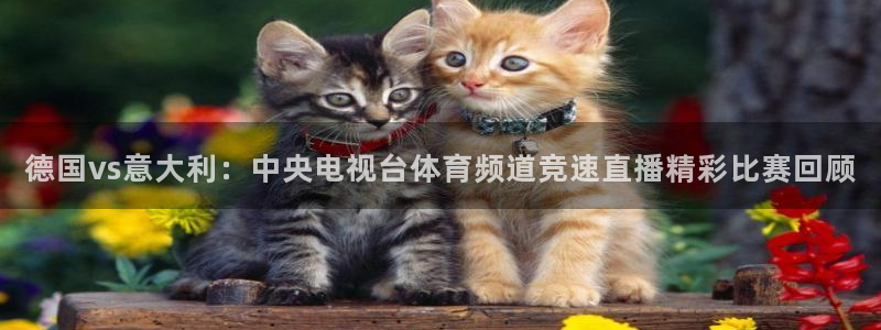 德国vs意大利：中央电视台体育频道竞速直播精彩比赛回顾